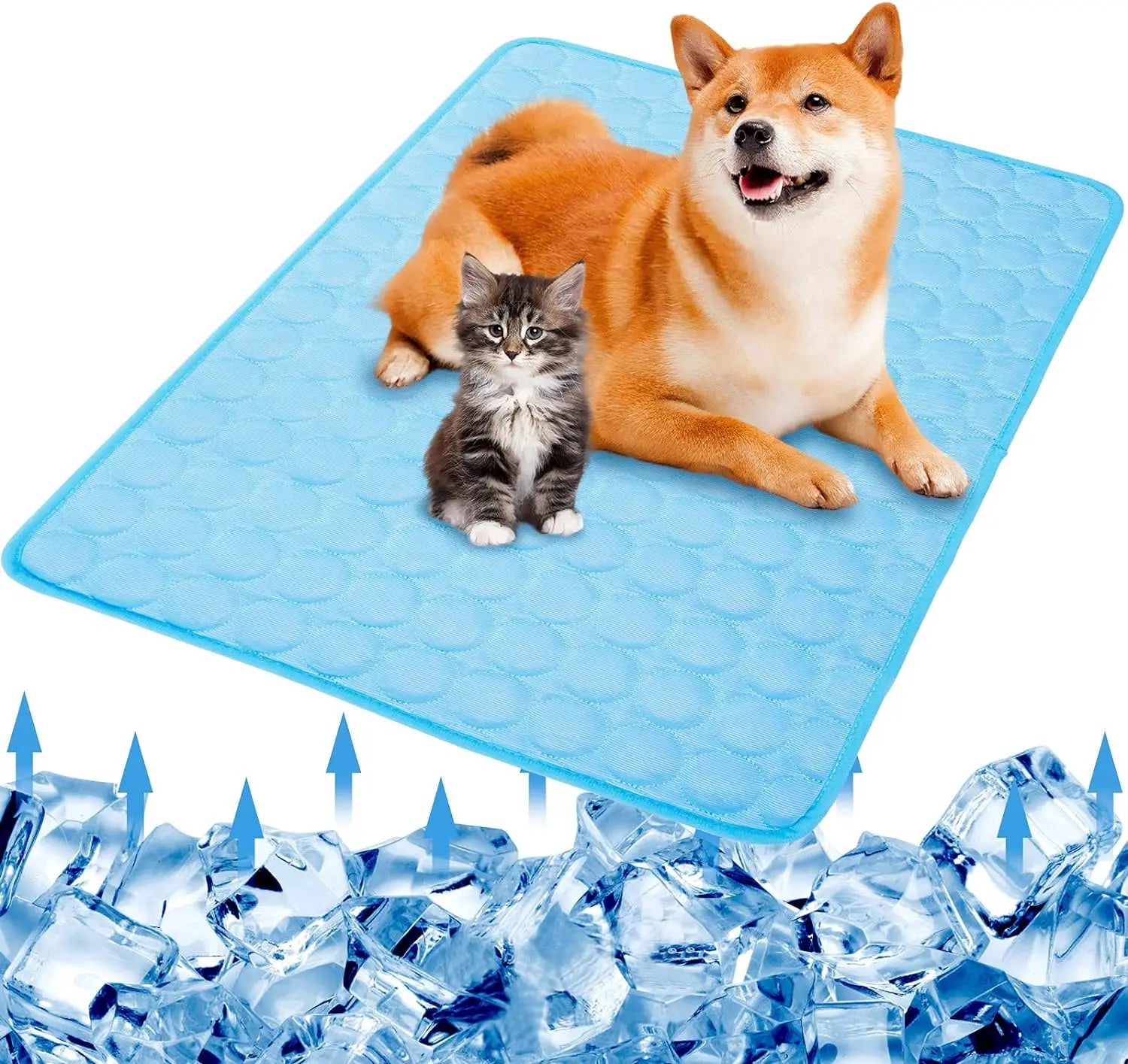 Pets