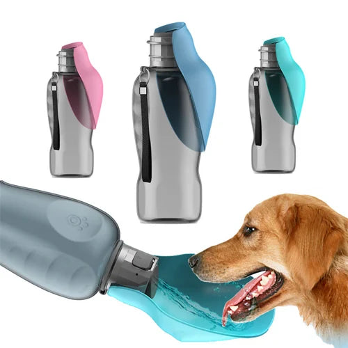 10 Must-Have Pet Gadgets Every Dog Owner Needs