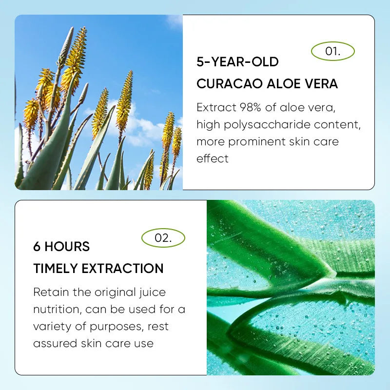 Lip Aloe Balm Nourishing, Hydrating and Moisturizing Preventing Cracking and Repairing Lips Gentle Non Irritating